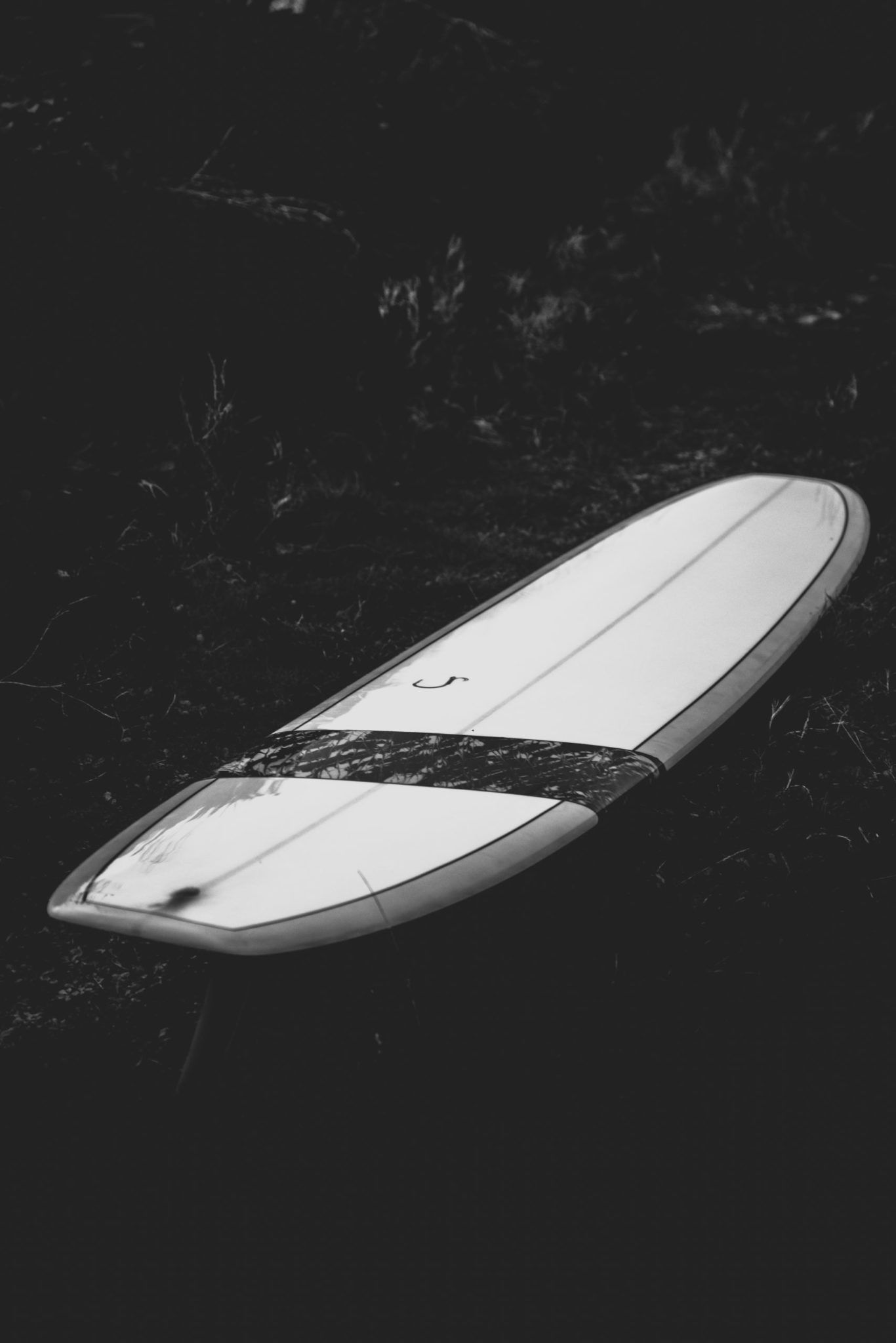 Cachalot Surfboards planche surfboard artisan surf shaper bois hollow wooden eps longboard