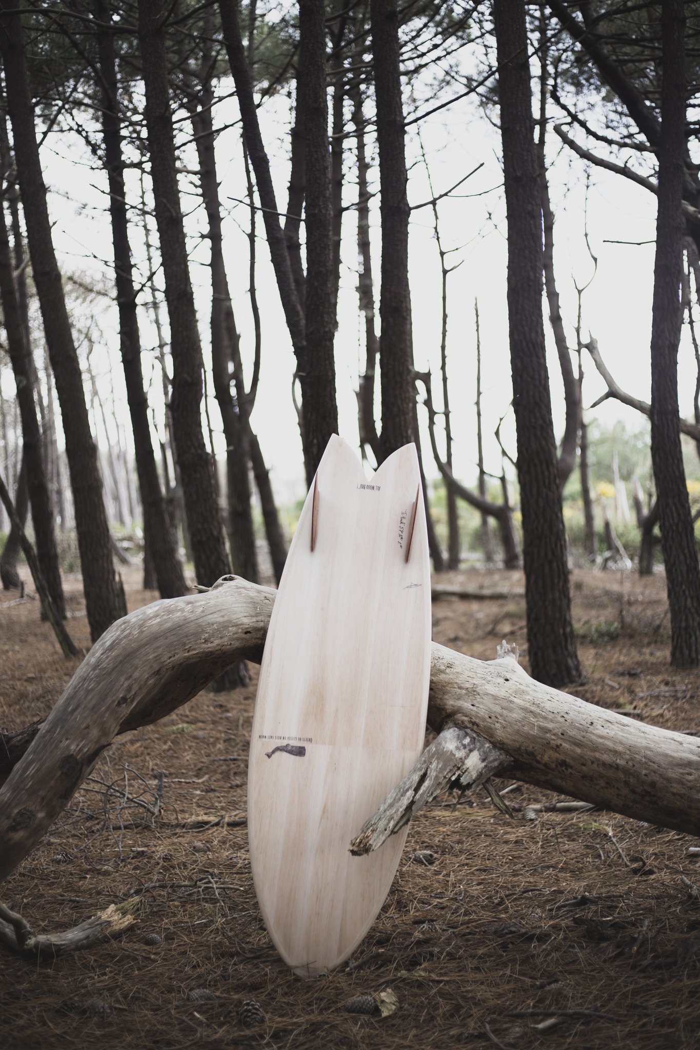 cachalot surfboards planche surf handmade artisan shaper hollow bois scorbut