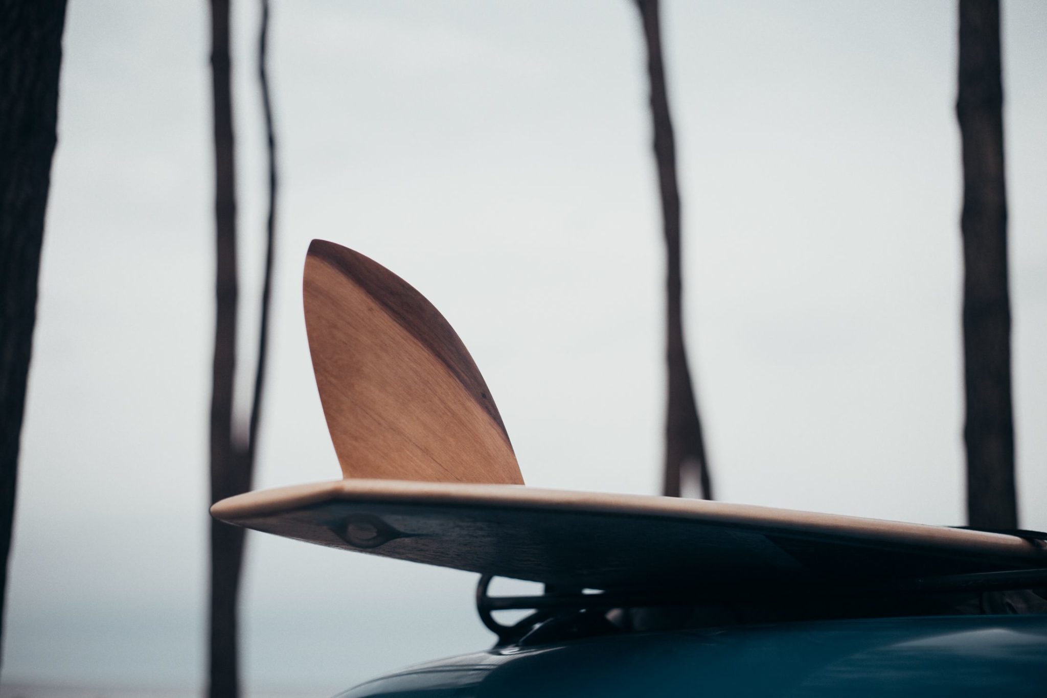 cachalot surfboards planche de surf artisan shape shaper bois hollow wooden balsa