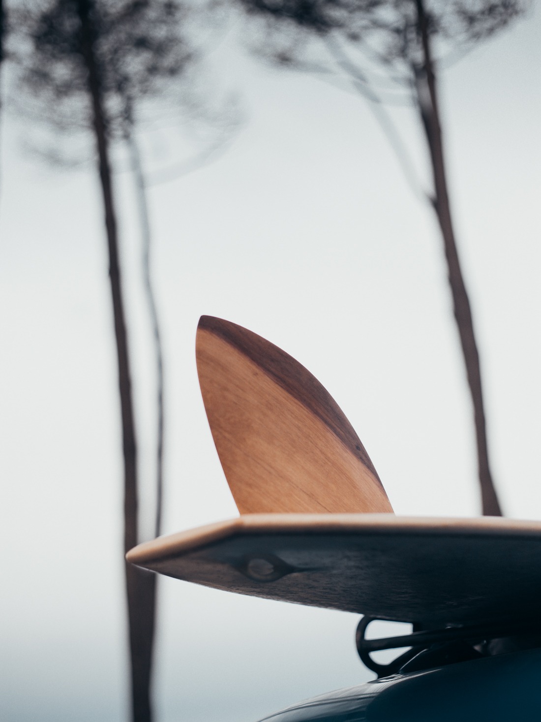 Cachalot Surfboards planche surf handmade artisan shaper hollow wooden